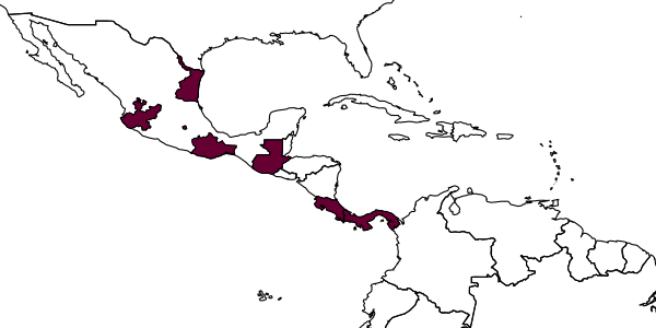 map of Sussaba callosa     Dasch, 1964